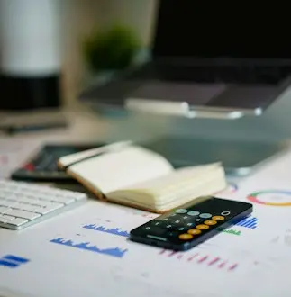Annual financial statements (GFI)